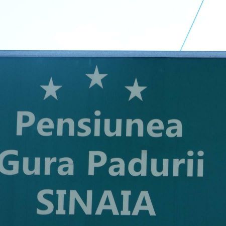 Gura Padurii Otel Sinaia Dış mekan fotoğraf