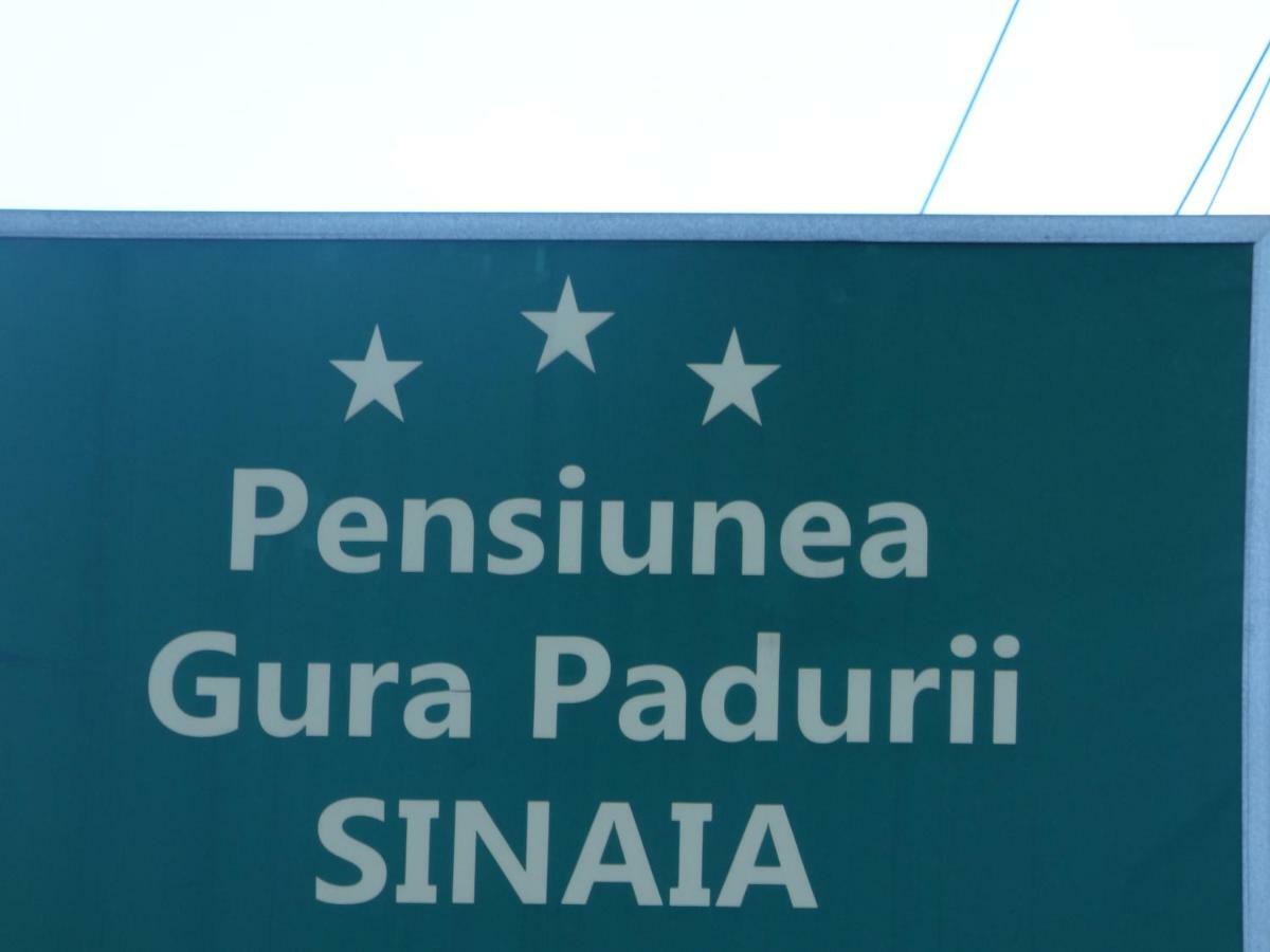 Gura Padurii Otel Sinaia Dış mekan fotoğraf